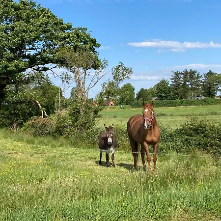 Campismo de Luxo Farmyard Lane Glamping Killarney