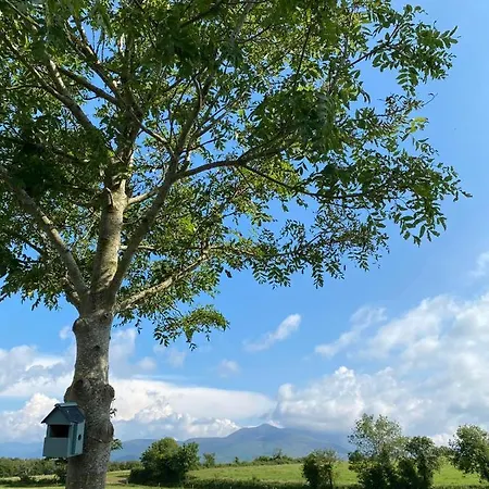 Farmyard Lane Glamping 킬라니