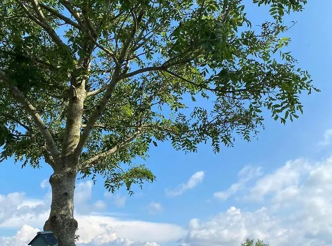 Farmyard Lane Glamping Кілларні