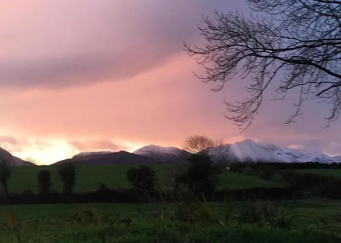 Farmyard Lane Glamping *